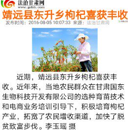 国东生物科技开发有限公司的LOGO
