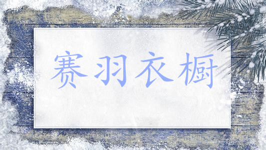 赛羽衣橱