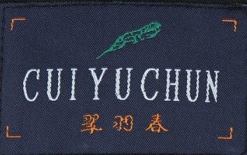 翠羽春服饰