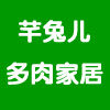 芊兔儿多肉家居