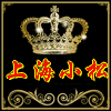 上海沪松的LOGO