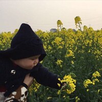 阿布巴布ABUBABU