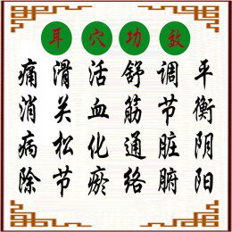 沪康医疗