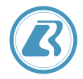 白令三维3D打印的LOGO
