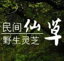 专注环保  省电节能专家