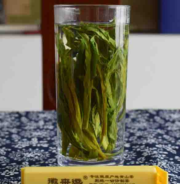 黄山茶哥农家茶园的LOGO