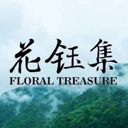 花钰集自营品牌店