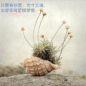 海洋贝壳馆的LOGO