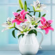 小宝钻石画官方企业店的LOGO