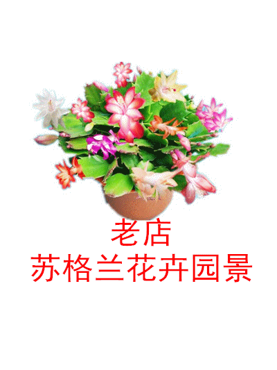 苏格兰花卉园景的LOGO