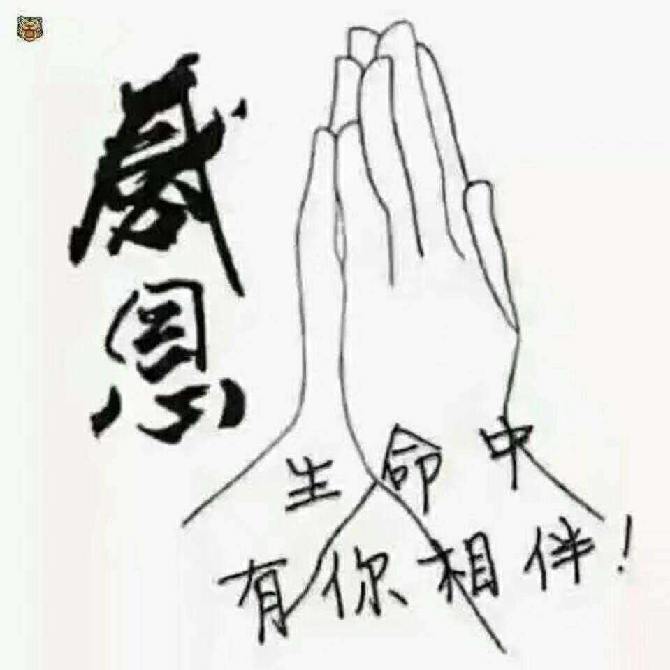 泽一优品