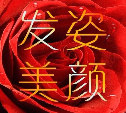 发姿美颜的LOGO