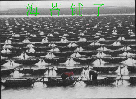 【白领健身驿站】