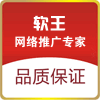 代写写作 单页网站 网络推广 广告语 销售信 软件