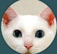 开心的1天