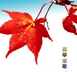 秀香居网购中心