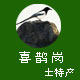 喜鹊岗土特产的LOGO
