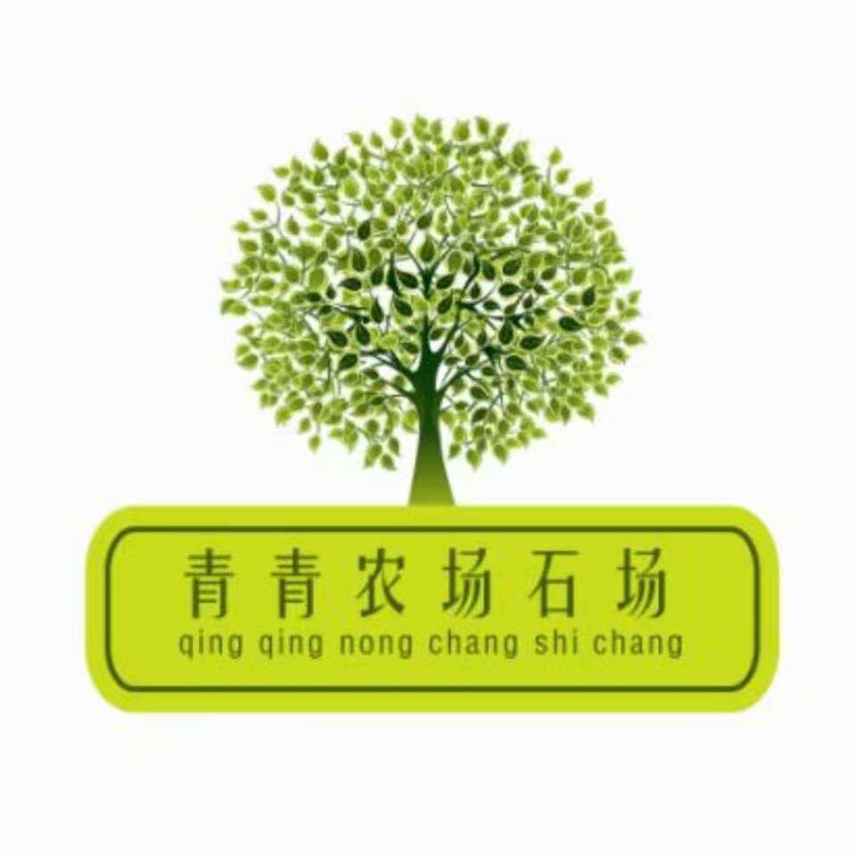 山妹子创业