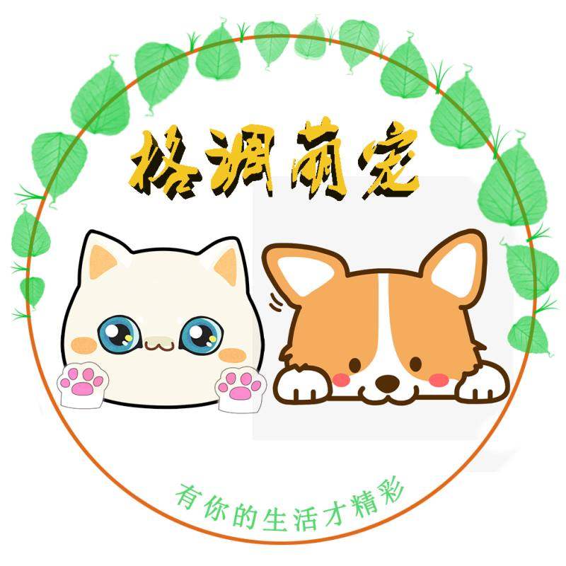 优雅不失格调