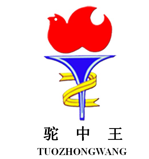 驼中王公司企业店