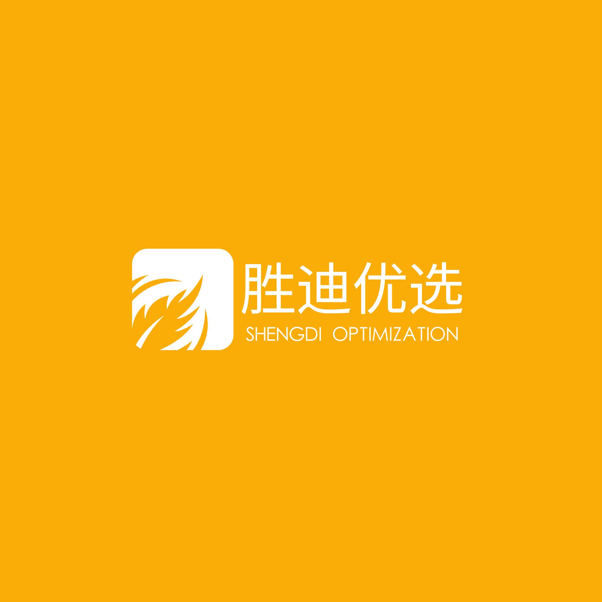 胜迪优选