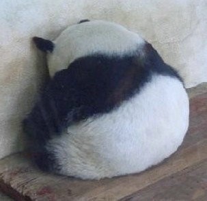 自在静家