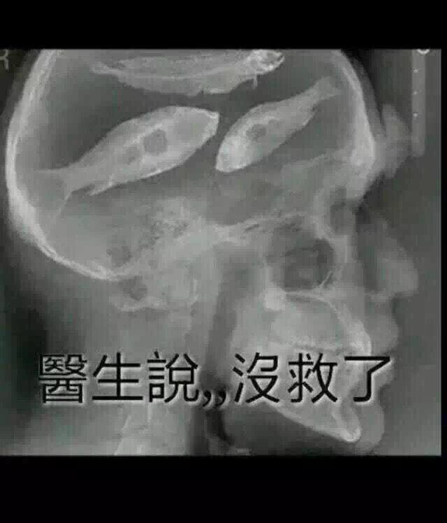 丢丢渔乐大物工坊