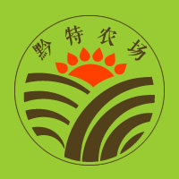 黔特食品工厂店的LOGO