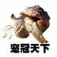 宠冠天下的LOGO