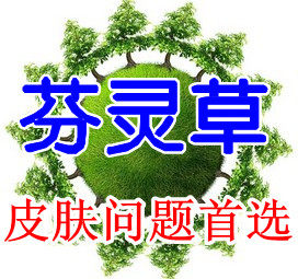 芬灵草阁