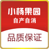 小杨果园