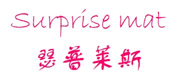 瑟普莱斯抗疲劳垫的LOGO