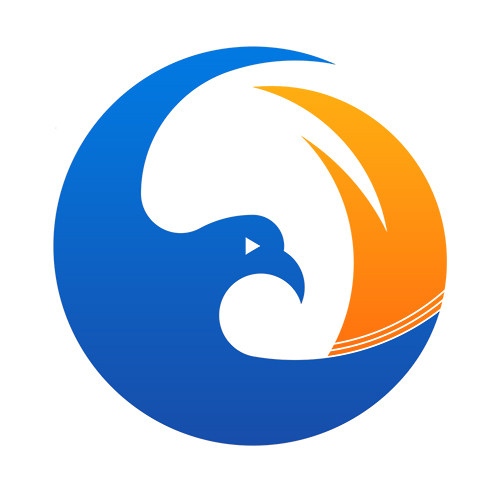 五次元知识产权的LOGO