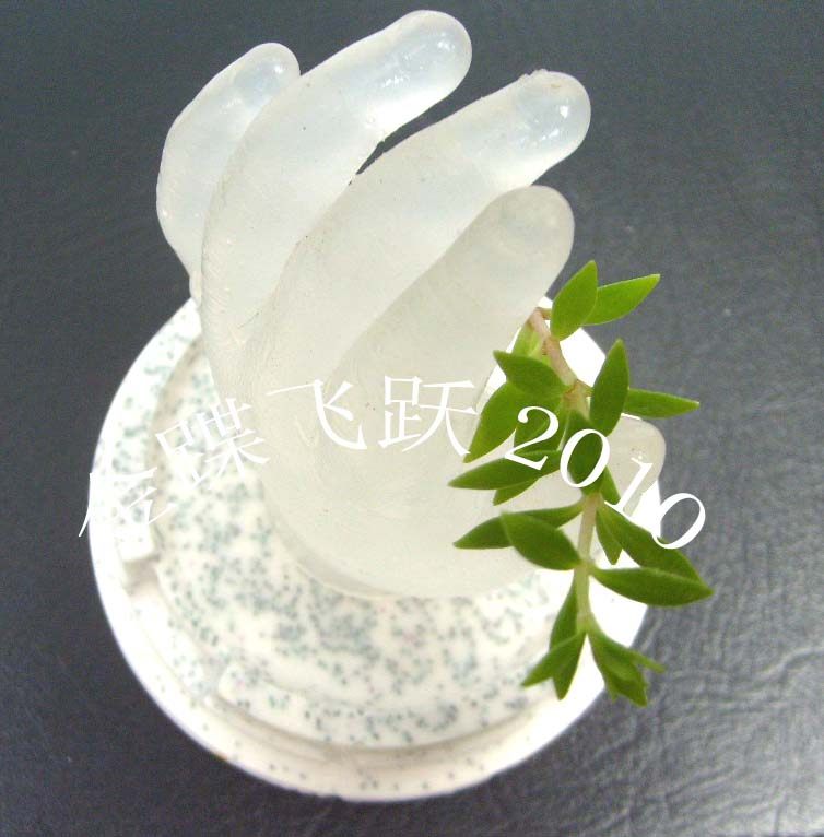 杨瀛特种石膏模型材料研究中心的LOGO