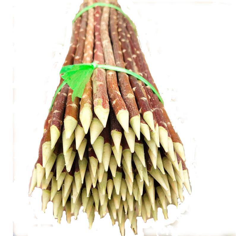 红柳签子店