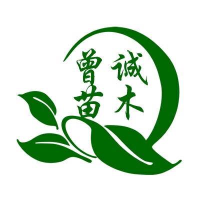 曾诚苗木的LOGO