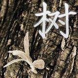 老树杂物店