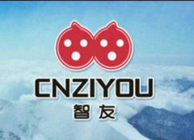 智友电气企业直销店