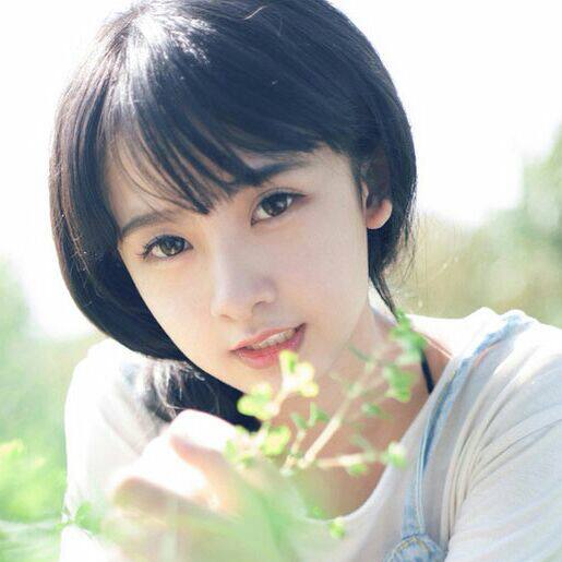王芬散热风扇