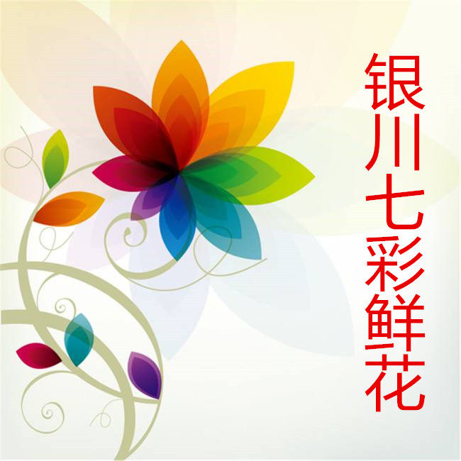 银川七彩鲜花店
