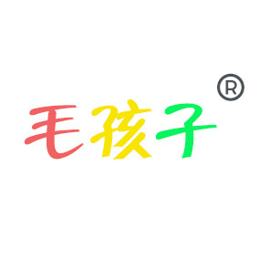 毛孩子宠物学校