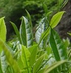 武夷山市福祥缘茶叶店
