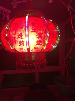 峰海阁的LOGO
