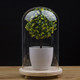 小木木玻璃厂