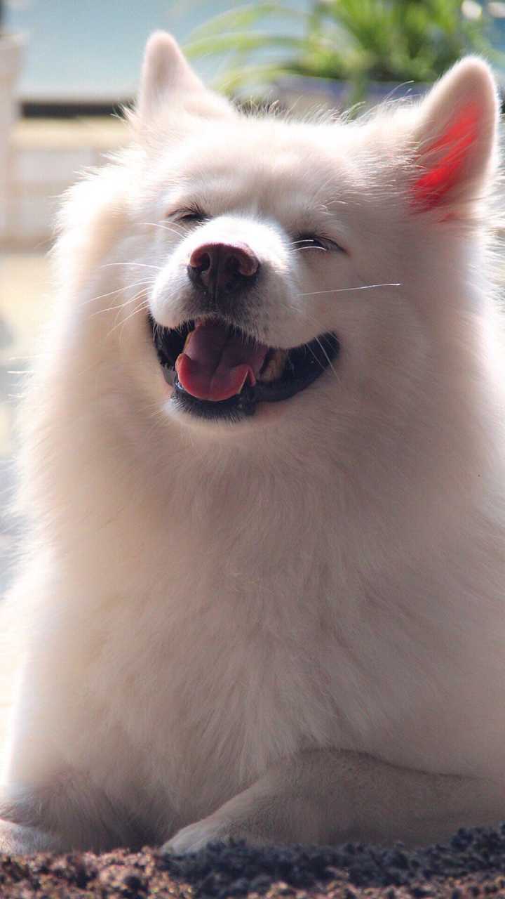广州凯乐汽配商行