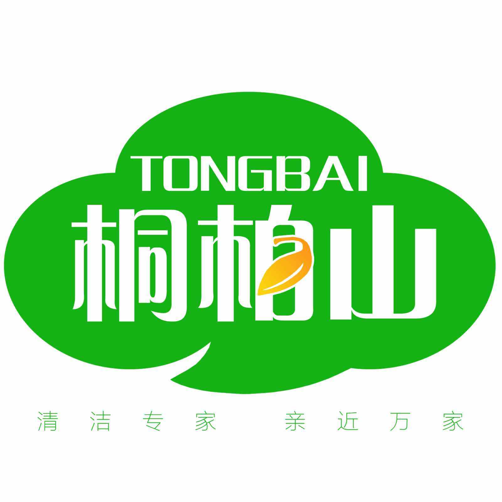桐柏山食品旗舰店的LOGO