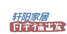 轩阳家具