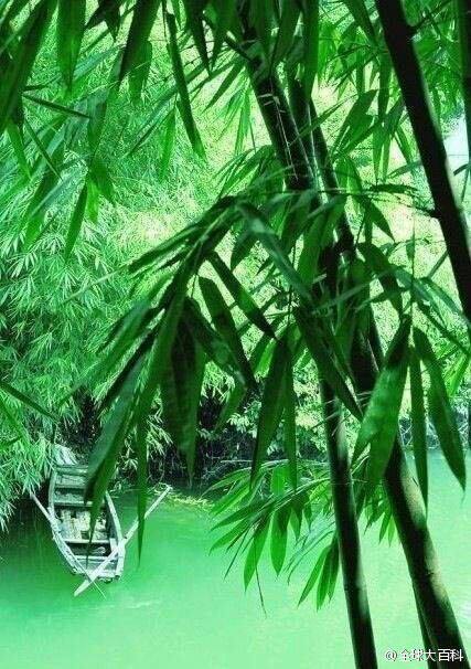 金源生态