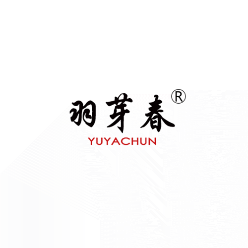 峨眉山羽芽春茶叶