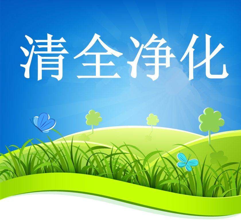 清全净化